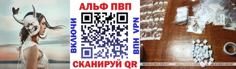 A PVP СК КРИС  Сасово 