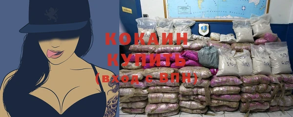 соль ск Алексеевка