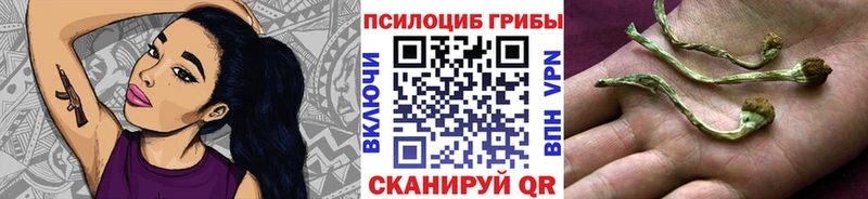 сайты даркнета телеграм  купить наркоту  Сасово  Галлюциногенные грибы ЛСД 